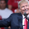 Trump Politics 420x200